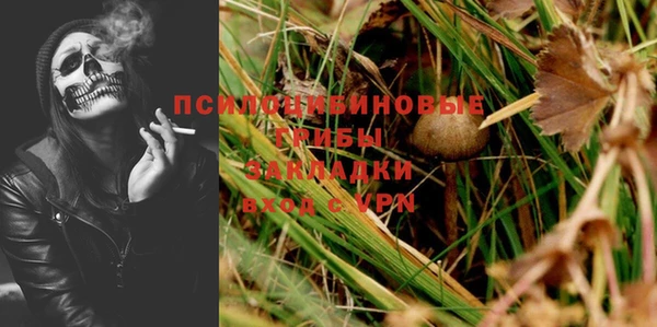 ALPHA-PVP Бородино