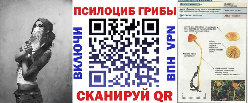 Псилоцибиновые грибы прущие грибы  Купить закладки  Голицыно 