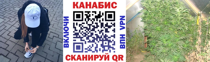 МАРИХУАНА индика Голицыно